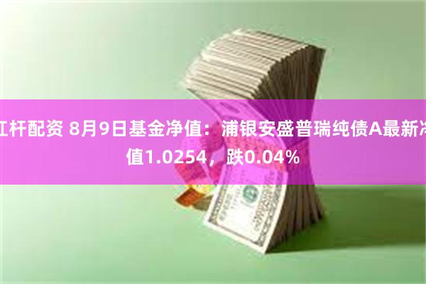 杠杆配资 8月9日基金净值：浦银安盛普瑞纯债A最新净值1.0254，跌0.04%