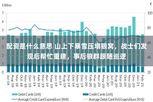 配资是什么意思 山上下暴雪压塌狼窝，战士们发现后帮忙重建，事后狼群跟随巡逻