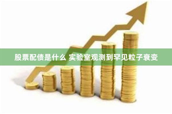 股票配债是什么 实验室观测到罕见粒子衰变