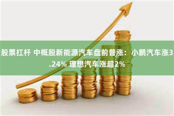 股票扛杆 中概股新能源汽车盘前普涨：小鹏汽车涨3.24% 理想汽车涨超2%