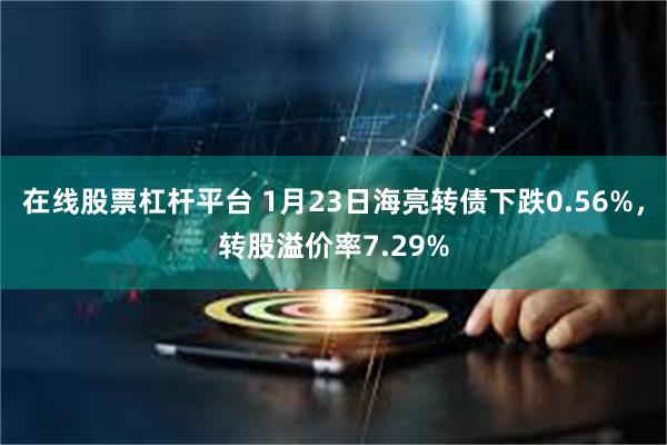 在线股票杠杆平台 1月23日海亮转债下跌0.56%，转股溢价率7.29%