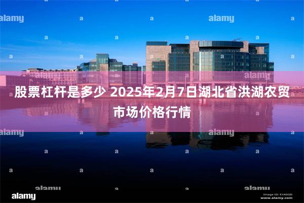 股票杠杆是多少 2025年2月7日湖北省洪湖农贸市场价格行情