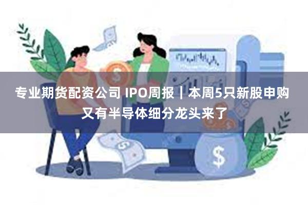 专业期货配资公司 IPO周报｜本周5只新股申购 又有半导体细分龙头来了